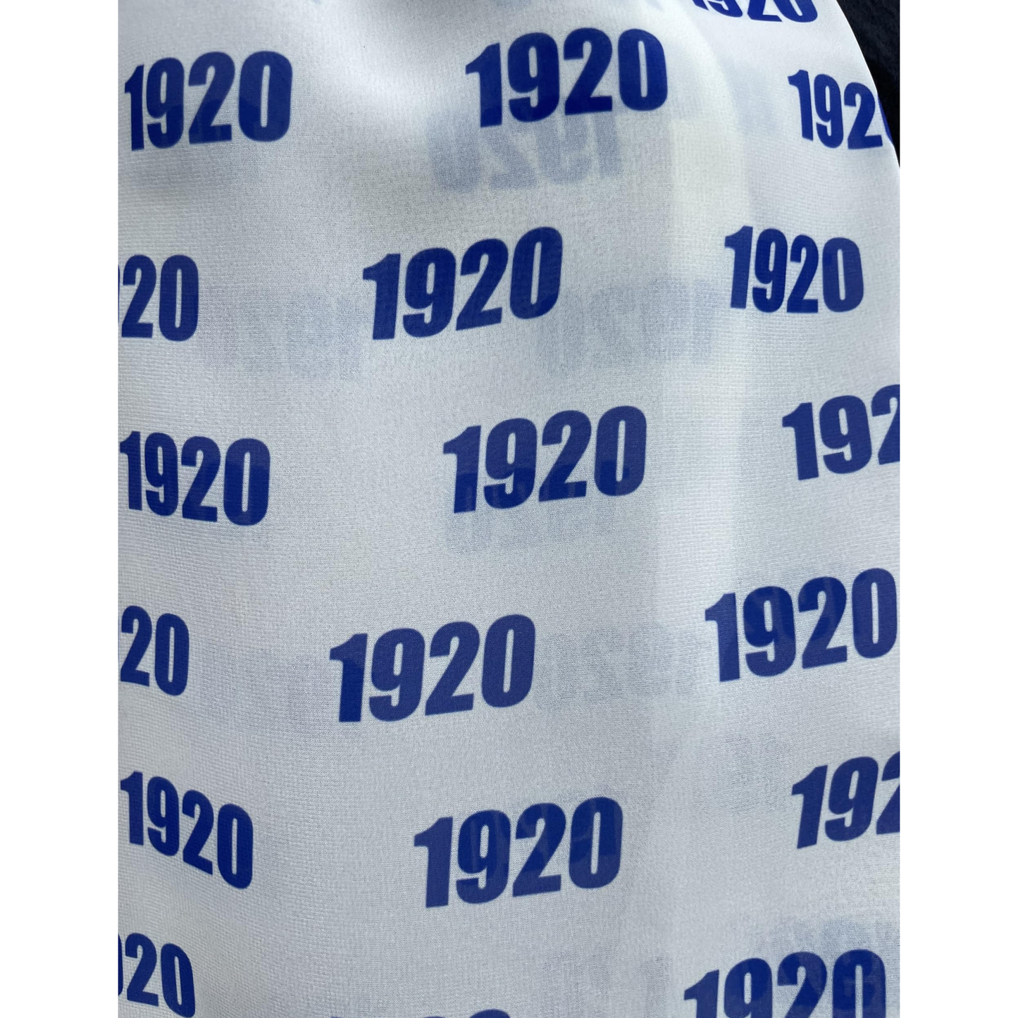 Zeta Phi Beta Sorority Paraphernalia - 1920 Necktie