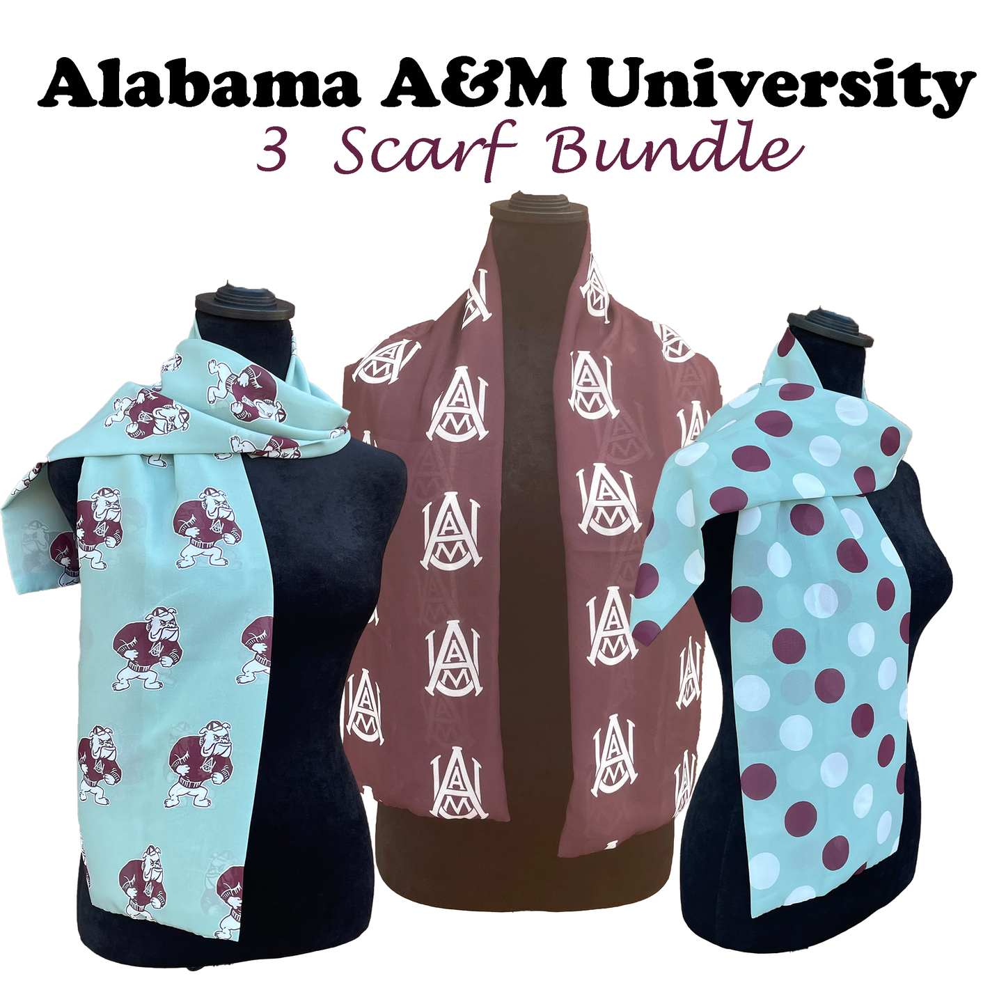 HBCU Spirit Wear Necktie Sets