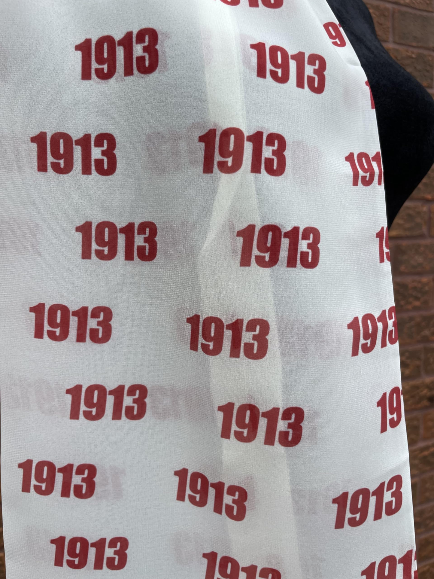 Delta Sigma Theta Sorority Paraphernalia - 1913 Necktie