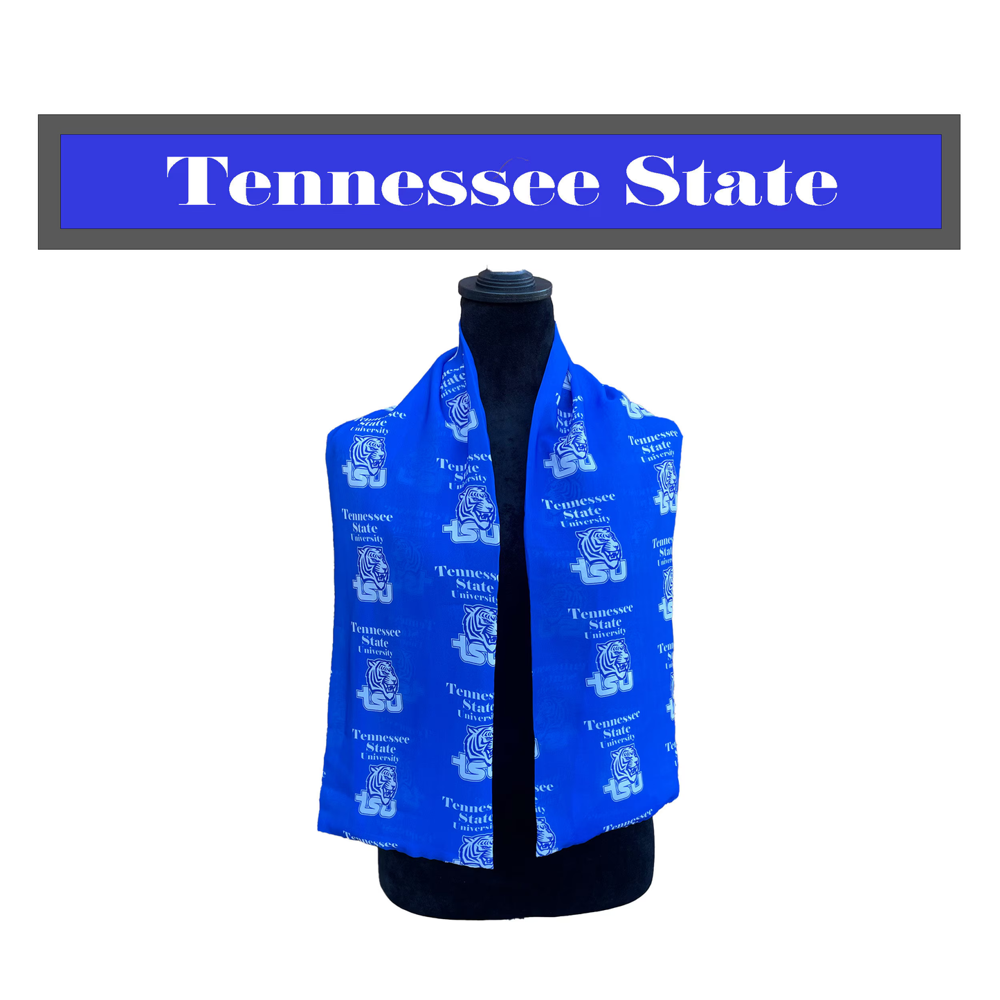 HBCU Spirit Wear Necktie Sets