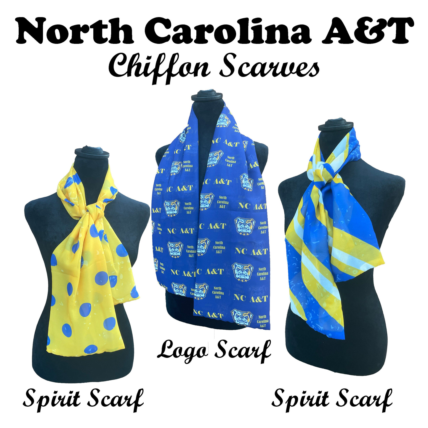 HBCU Spirit Wear Necktie Sets